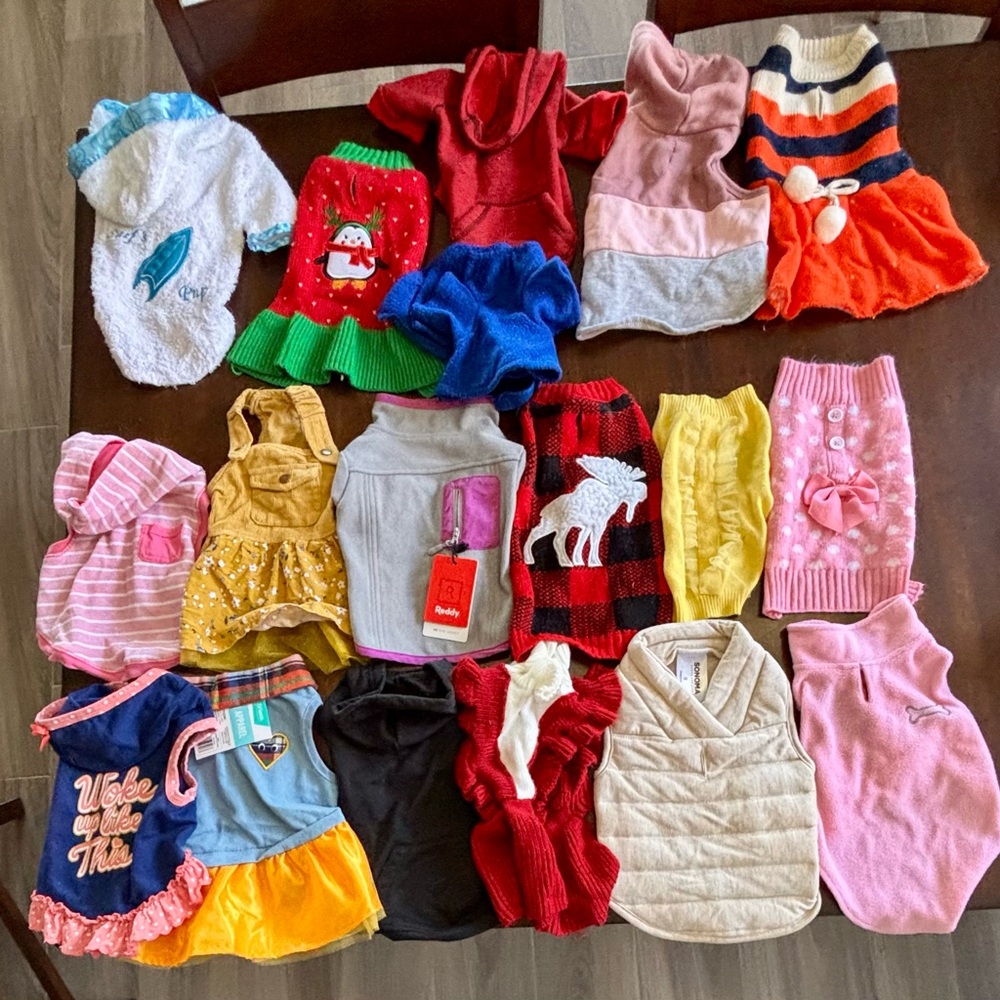 Bulk sale, 41 items, dog clothes!